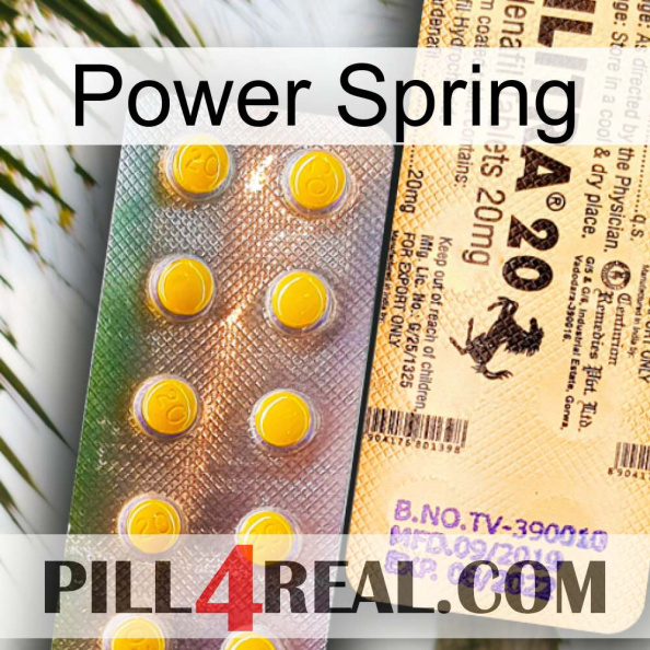 Power Spring new06.jpg